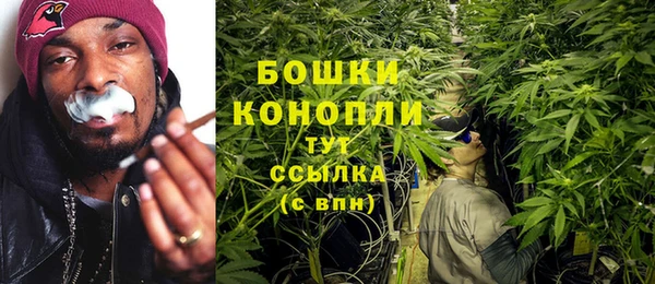 PSILOCYBIN Алзамай
