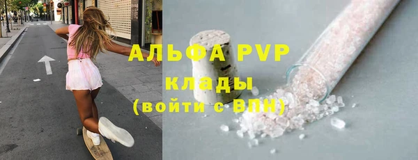 мет Алексин