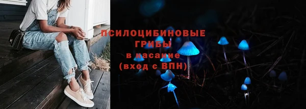 дживик Абинск