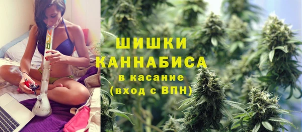 дживик Абинск