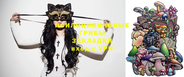 дживик Абинск