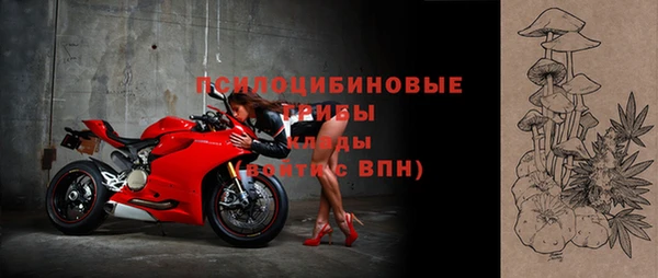 дживик Абинск