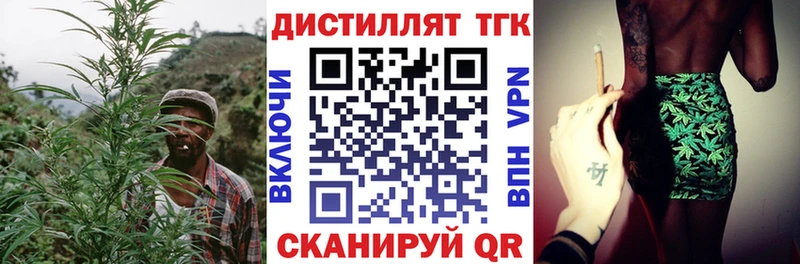 ТГК жижа  darknet телеграм  Жердевка 